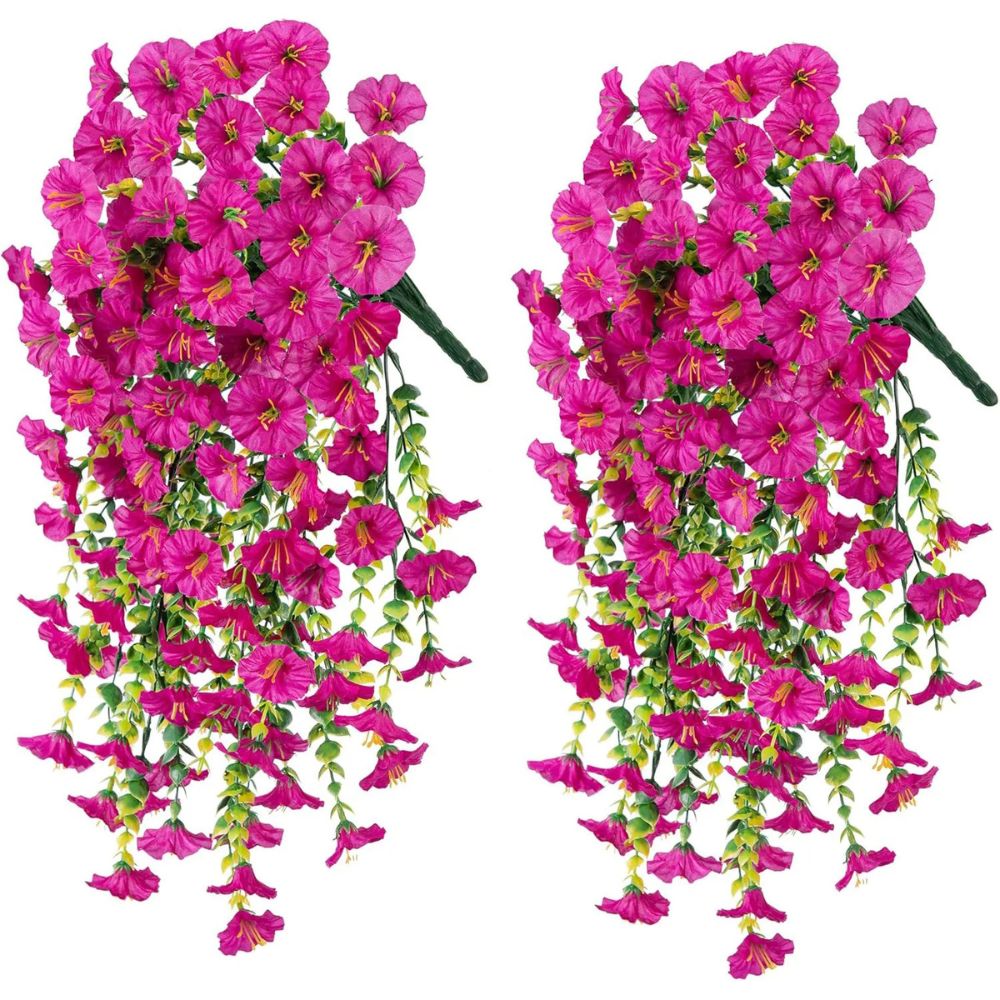 BloomEver | UV-Resistant Morning Glory Vines for Balcony & Garden