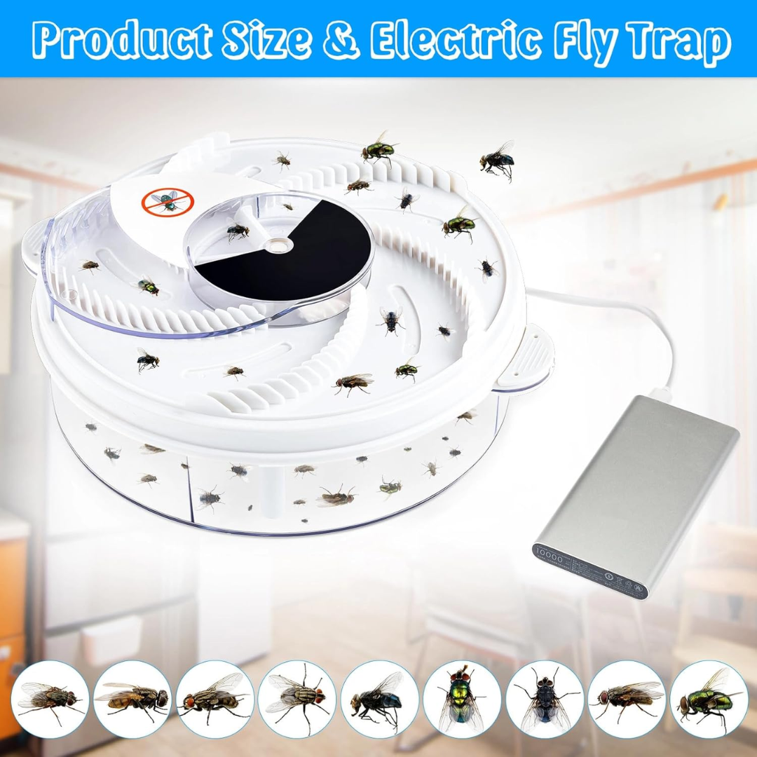 BuzzOff | Silent Fly Trap – Eco‑Friendly, Non‑Toxic Insect Catcher