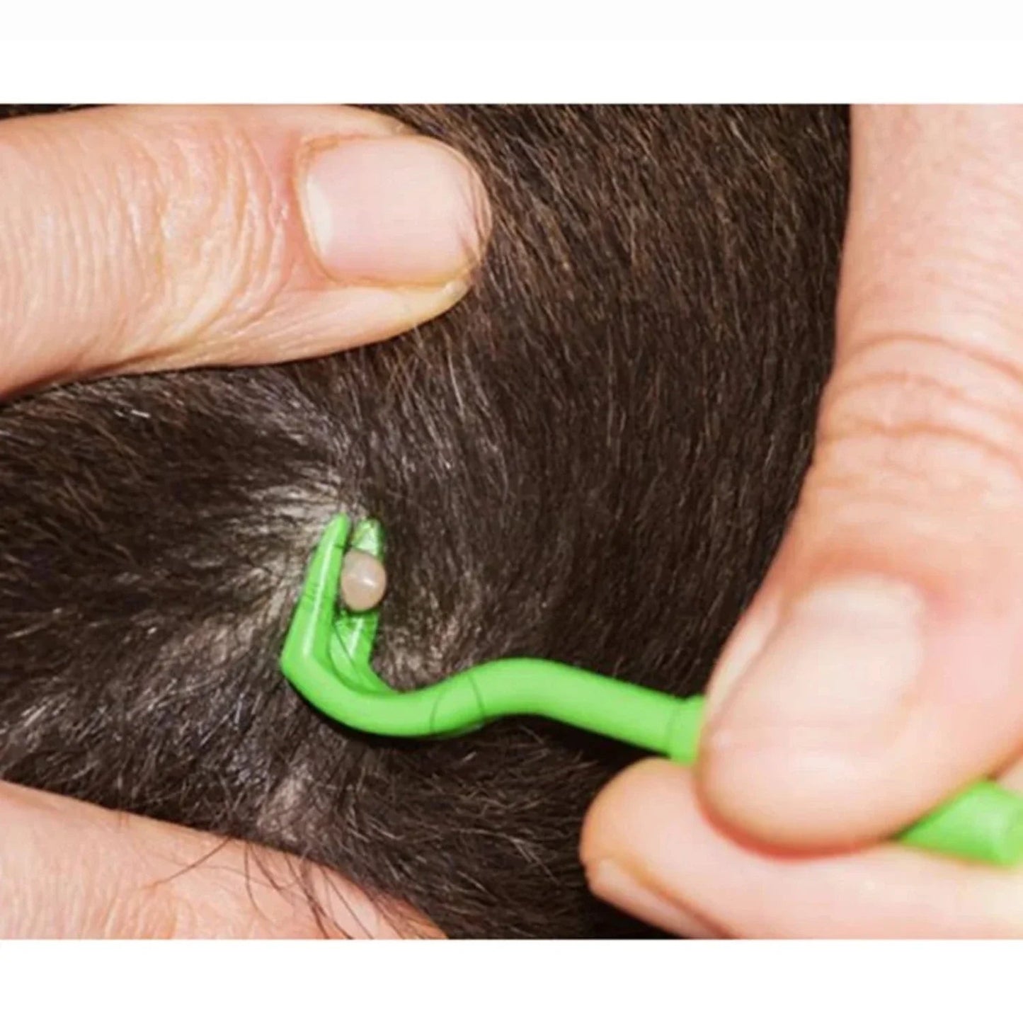 TickAway | Tick Removal Device for Dogs and Pets