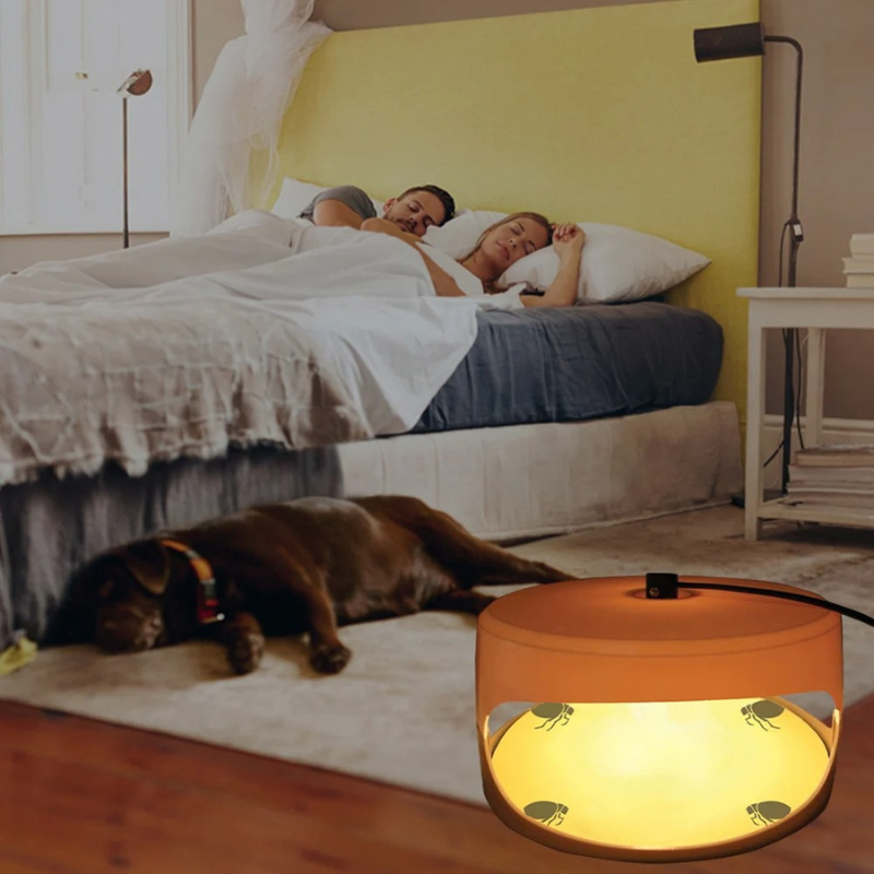CalmCatch | Indoor Insect Trap and Catcher with Sticky Surfaces