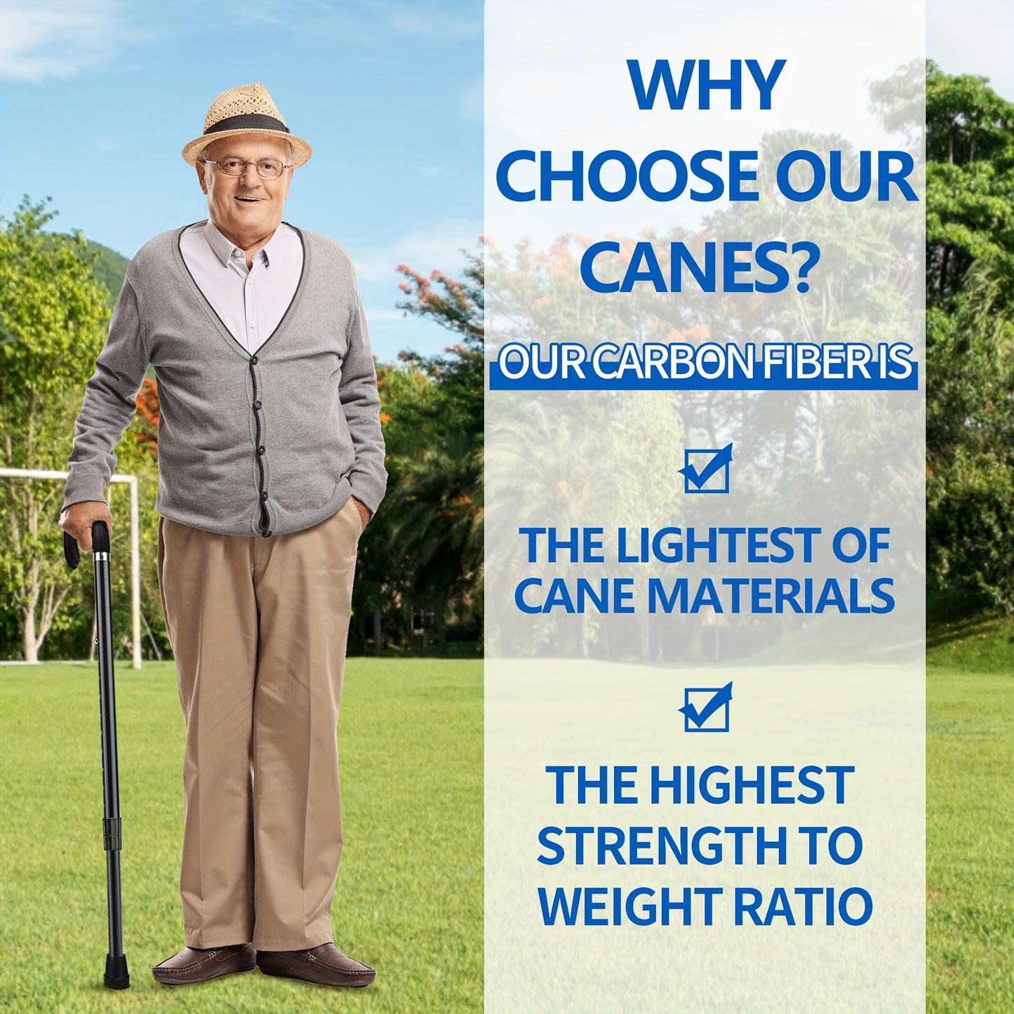 CarbonGlide | Carbon Walking Stick – Ultra-Lightweight & Height Adjustable