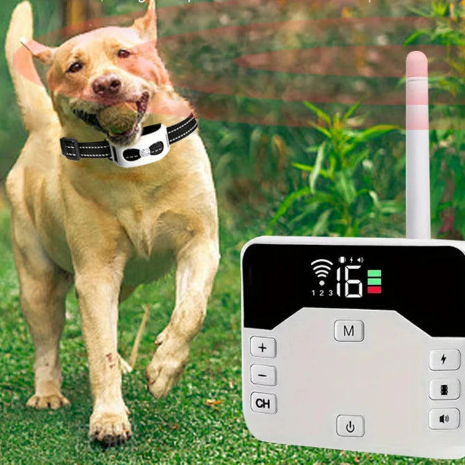 TailZone | Advanced Wireless Dog Containment System