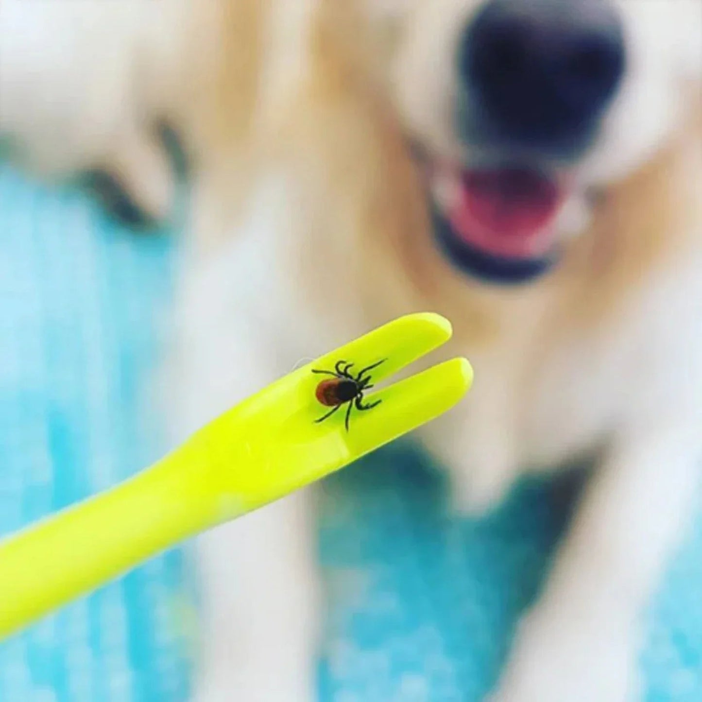 TickAway | Tick Removal Device for Dogs and Pets