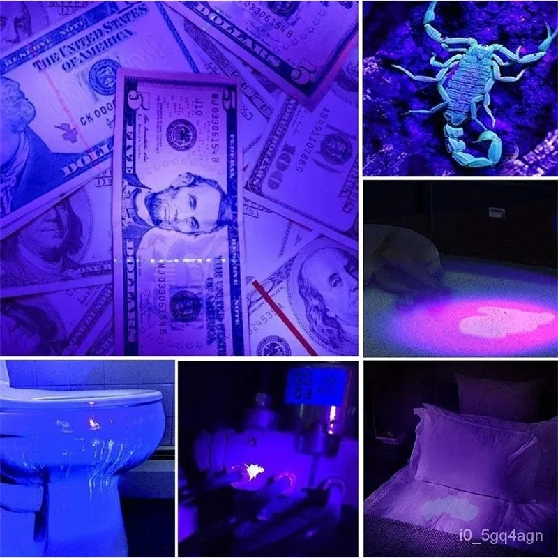 UVGuard | UV Torch for Bed Bug Detection and Stain Finder