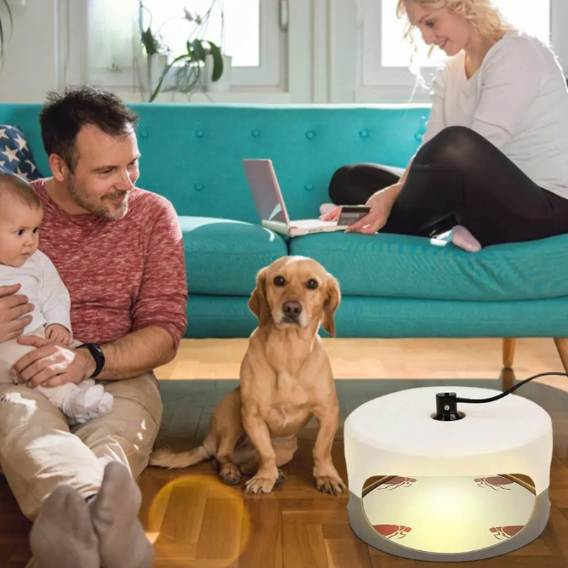 CalmCatch | Indoor Insect Trap and Catcher with Sticky Surfaces