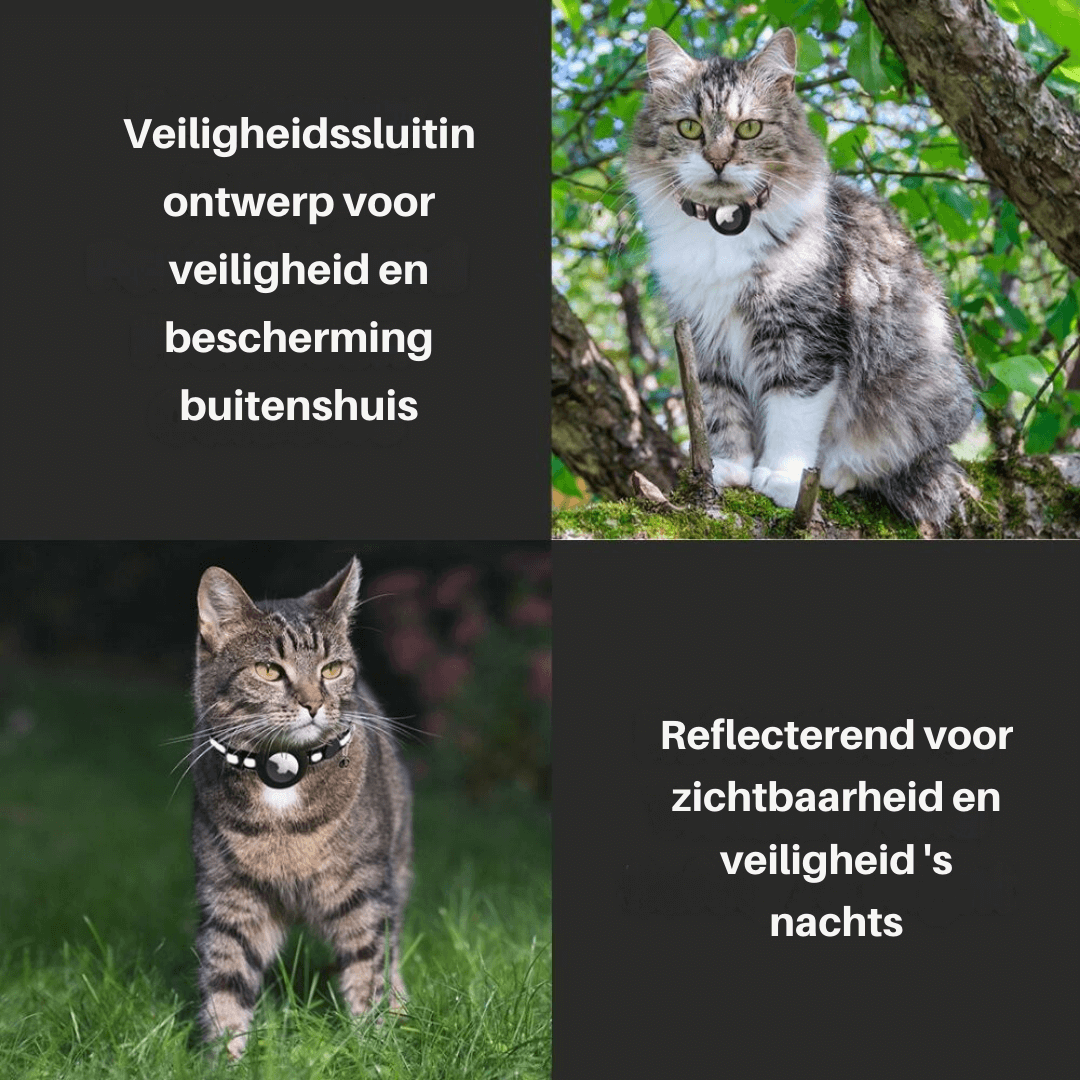 TrackTail | Cat collar with GPS tracker mount & safety clasp