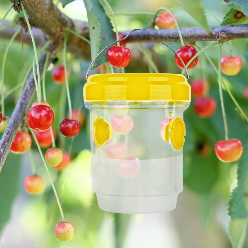 BugTrap | Fruit Fly Traps