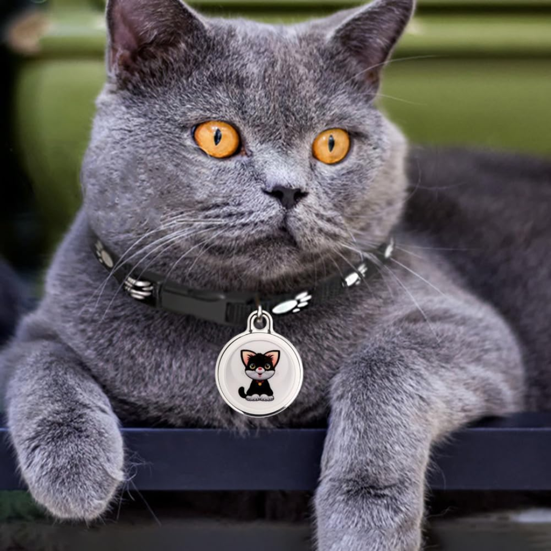 GeoPaw | Smarter Pet Tracker with Global Location