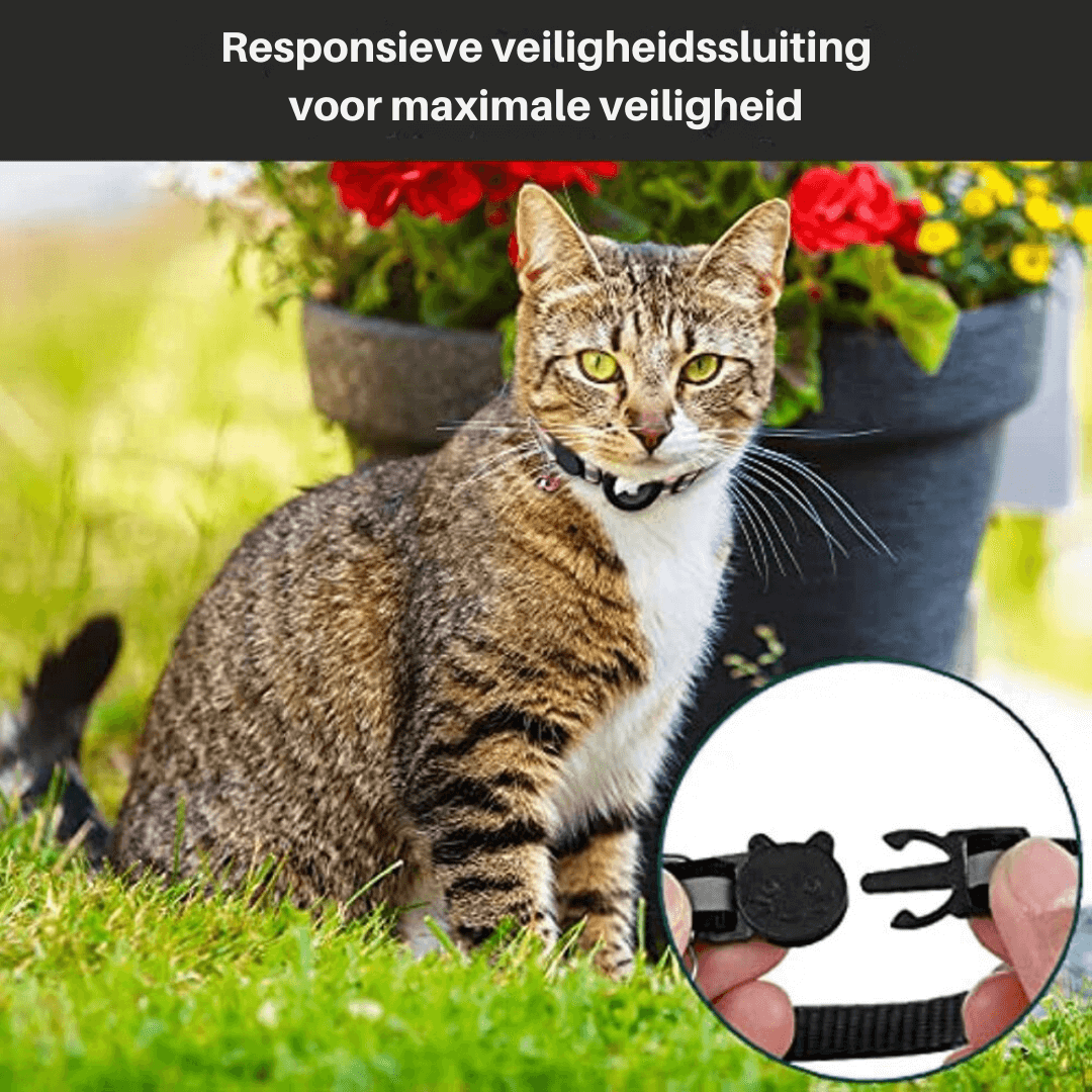 TrackTail | Cat collar with GPS tracker mount & safety clasp