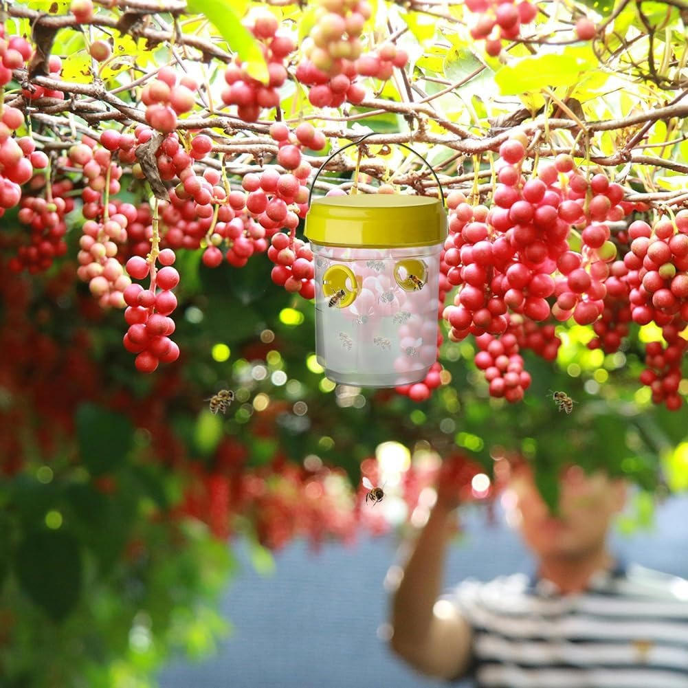 BugTrap | Fruit Fly Traps