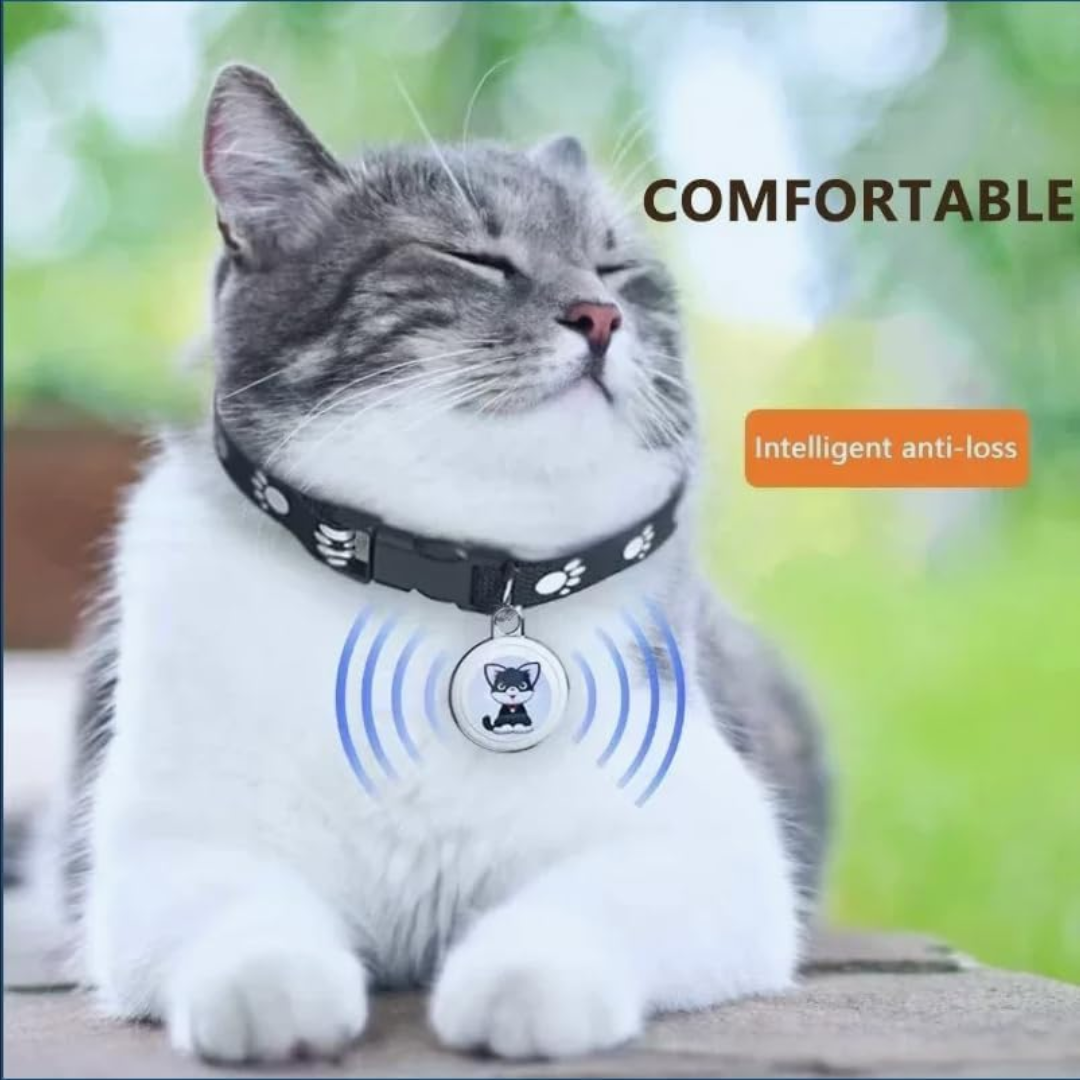 GeoPaw | Smarter Pet Tracker with Global Location