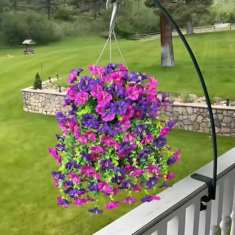 BloomEver | UV-Resistant Morning Glory Vines for Balcony & Garden