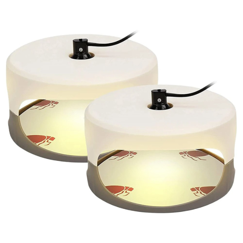 CalmCatch | Indoor Insect Trap and Catcher with Sticky Surfaces