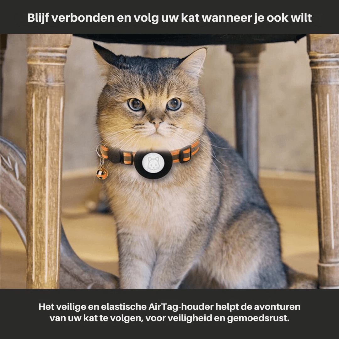 TrackTail | Cat collar with GPS tracker mount & safety clasp