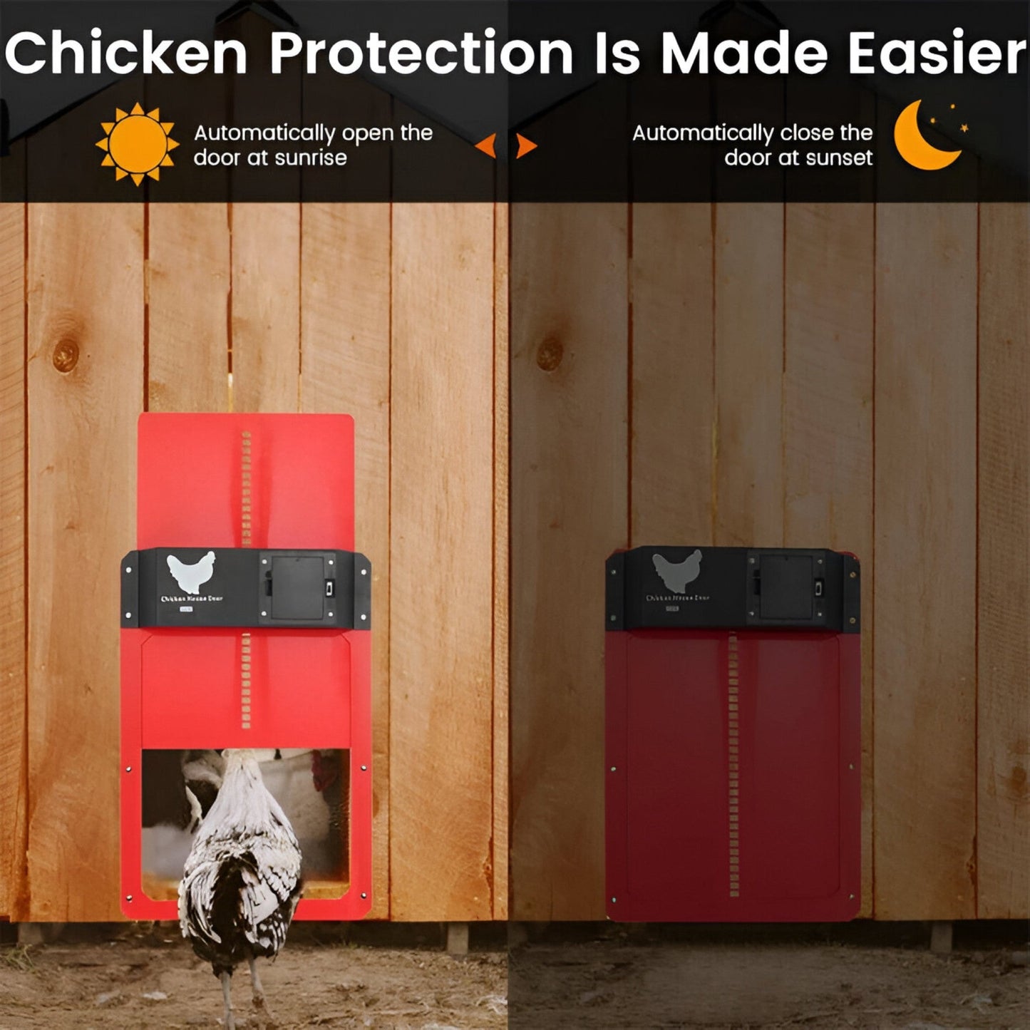 PluimveePro | Automatic Chicken Coop Door