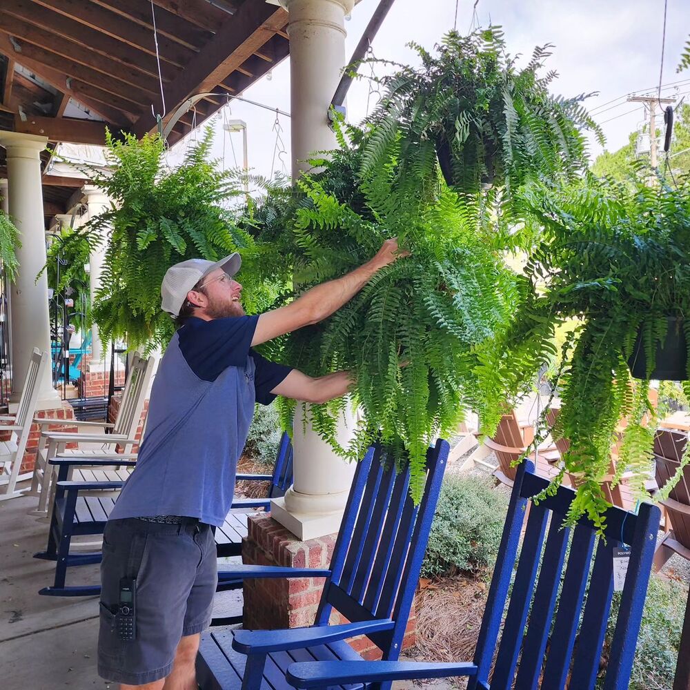 EverFern | Lush Artificial Boston Fern for Indoor & Outdoor