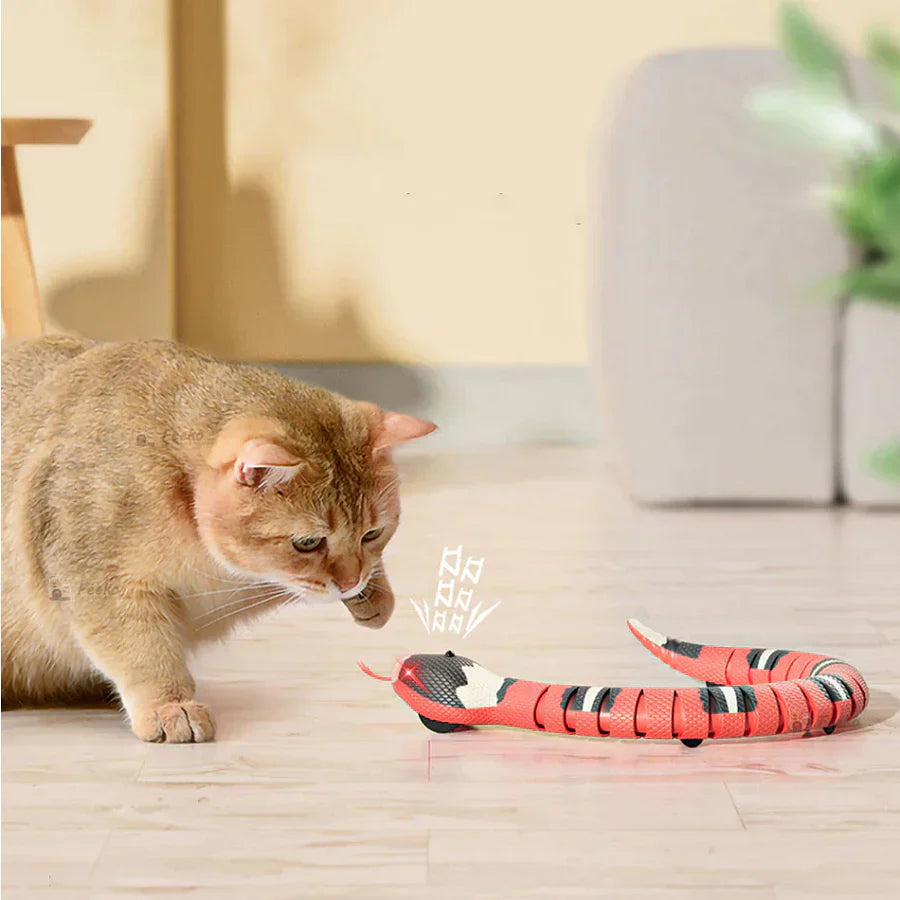 SnakePlay | Interactive Cat Toy1