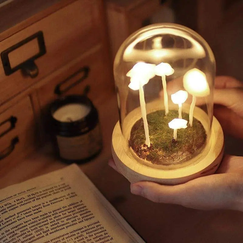 MushLight | Unique Mushroom Lamp