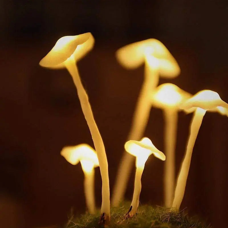 MushLight | Unique Mushroom Lamp