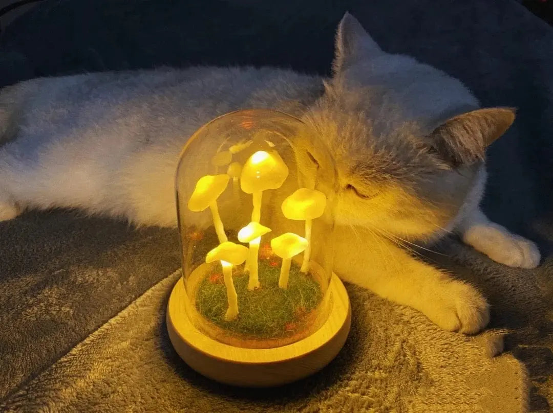 MushLight | Unique Mushroom Lamp