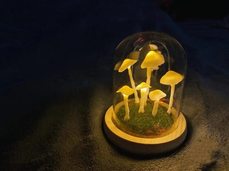 MushLight | Unique Mushroom Lamp