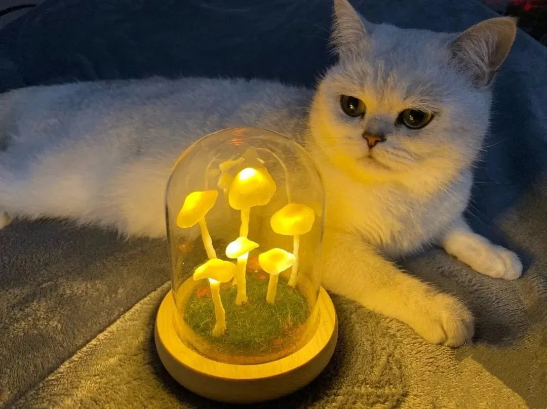 MushLight | Unique Mushroom Lamp