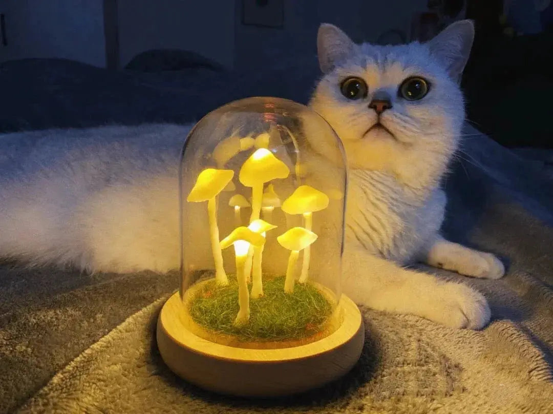 MushLight | Unique Mushroom Lamp