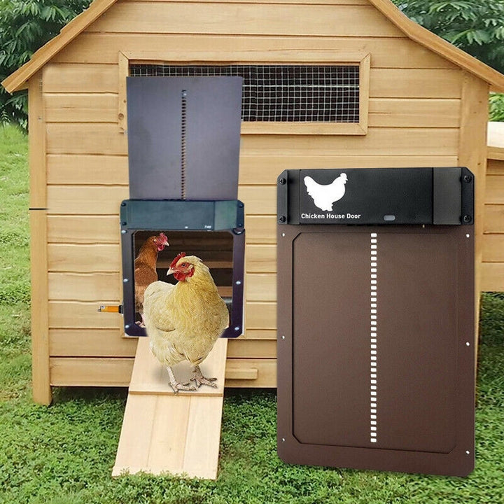 PluimveePro | Automatic Chicken Coop Door