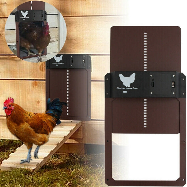 PluimveePro | Automatic Chicken Coop Door