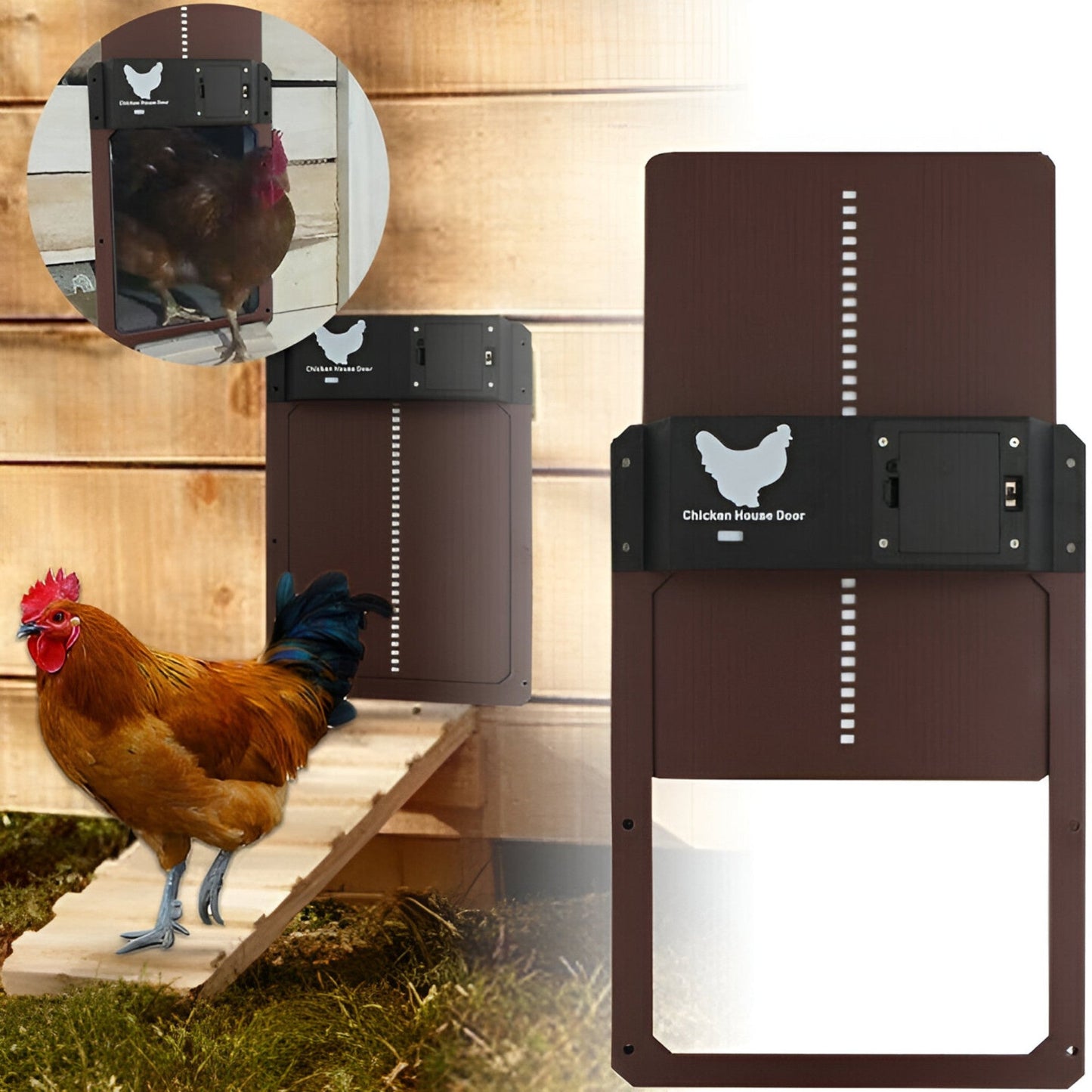 PluimveePro | Automatic Chicken Coop Door