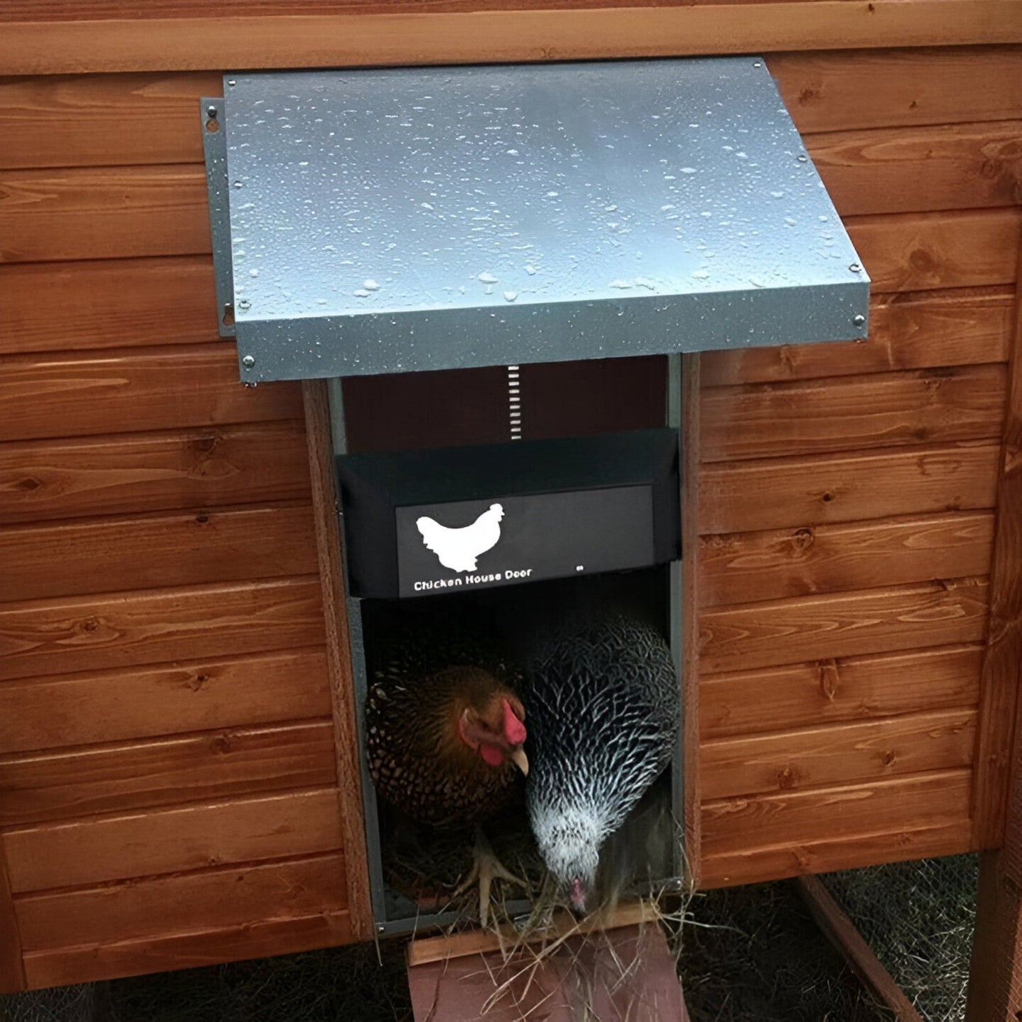 PluimveePro | Automatic Chicken Coop Door