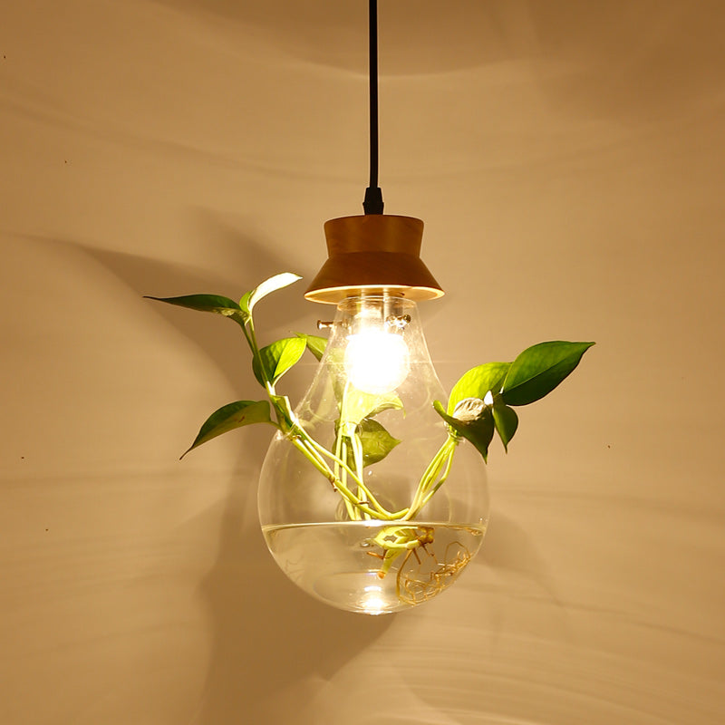 AviaryLuxe | Enchanting Hanging Plant Lamp