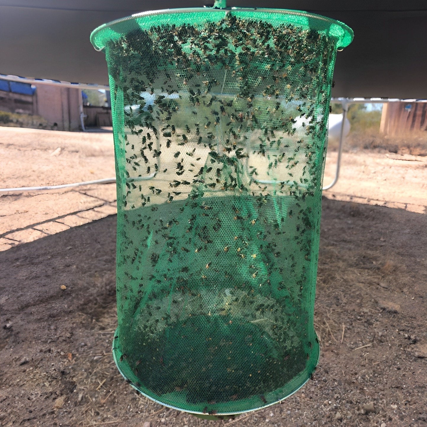 SilentTrap | Non-toxic Fly Trap for a Worry-Free Summer