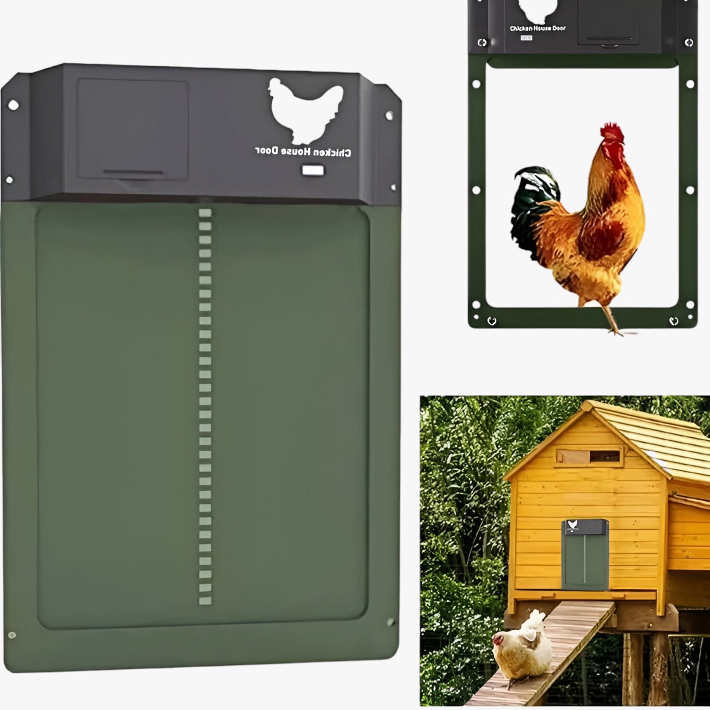 PluimveePro | Automatic Chicken Coop Door