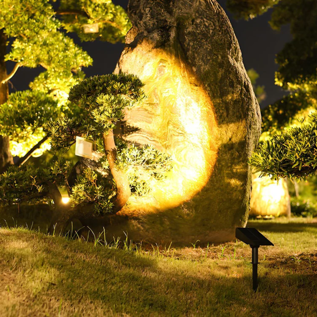 RayTuner | Waterproof LED Solar Multi-Zoom Spot Light Landscape Lighting RGB