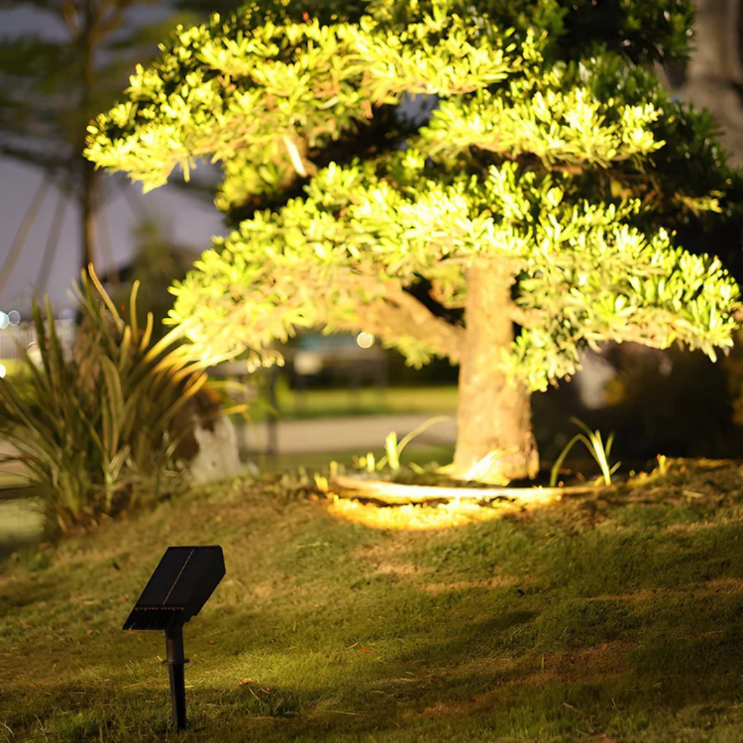 RayTuner | Waterproof LED Solar Multi-Zoom Spot Light Landscape Lighting RGB