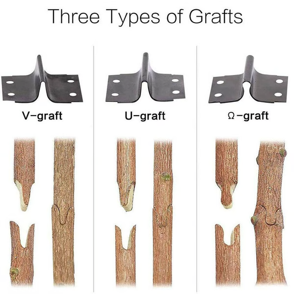GraftMate | Professional Grafting and Pruning Tool