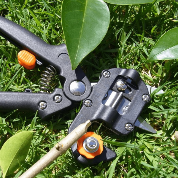 GraftMate | Professional Grafting and Pruning Tool