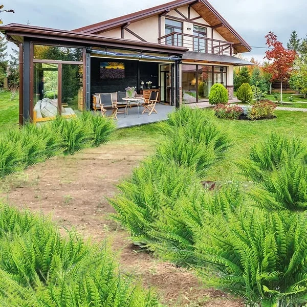 EverFern | Lush Artificial Boston Fern for Indoor & Outdoor