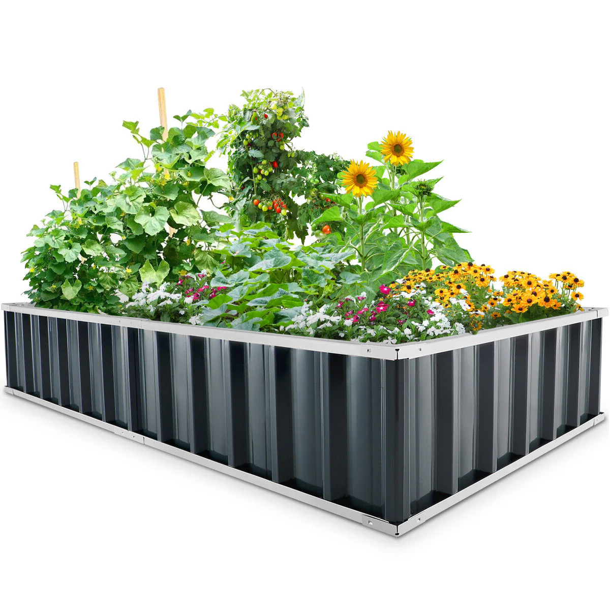 GrowBox | Robust Raised Bed Made of Steel for Vegetables & Flowers