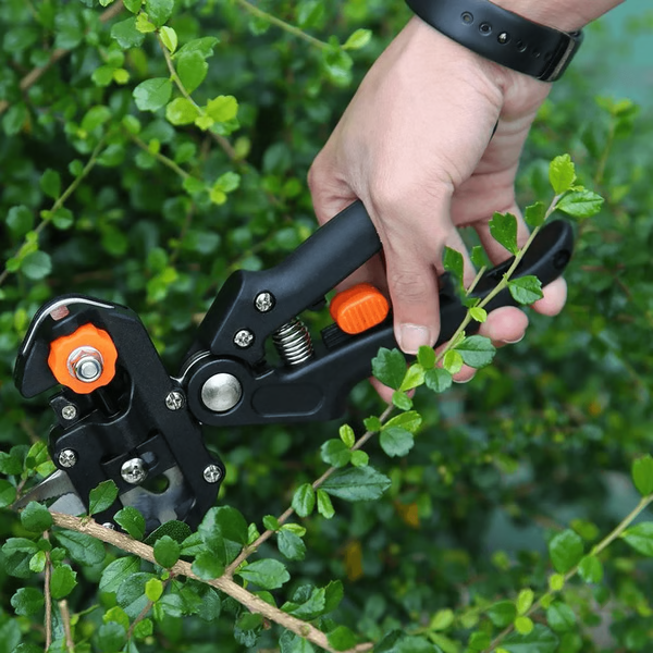 GraftMate | Professional Grafting and Pruning Tool