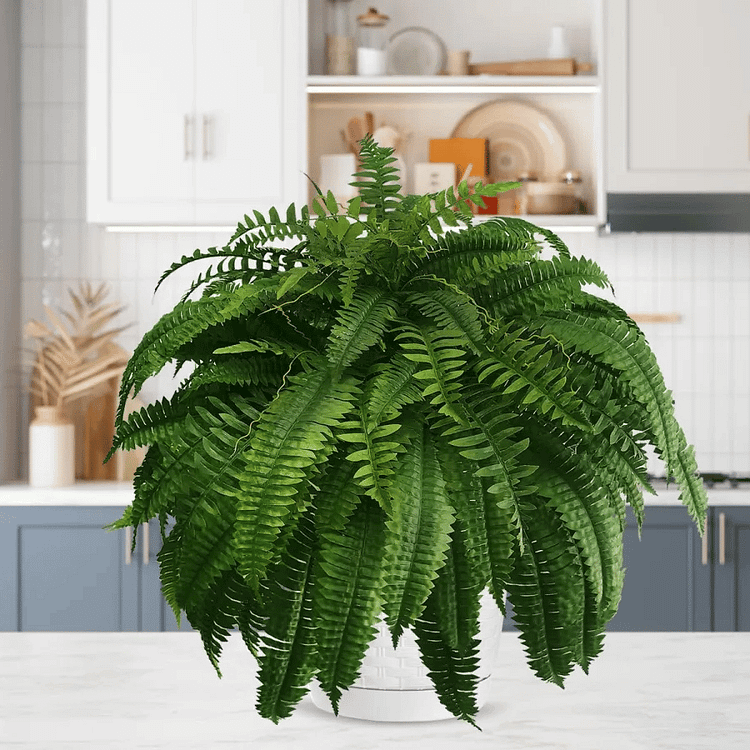 EverFern | Lush Artificial Boston Fern for Indoor & Outdoor