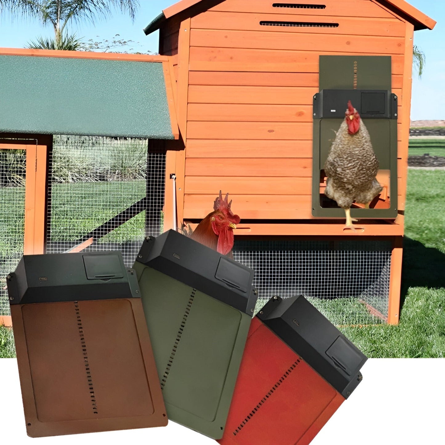 PluimveePro | Automatic Chicken Coop Door