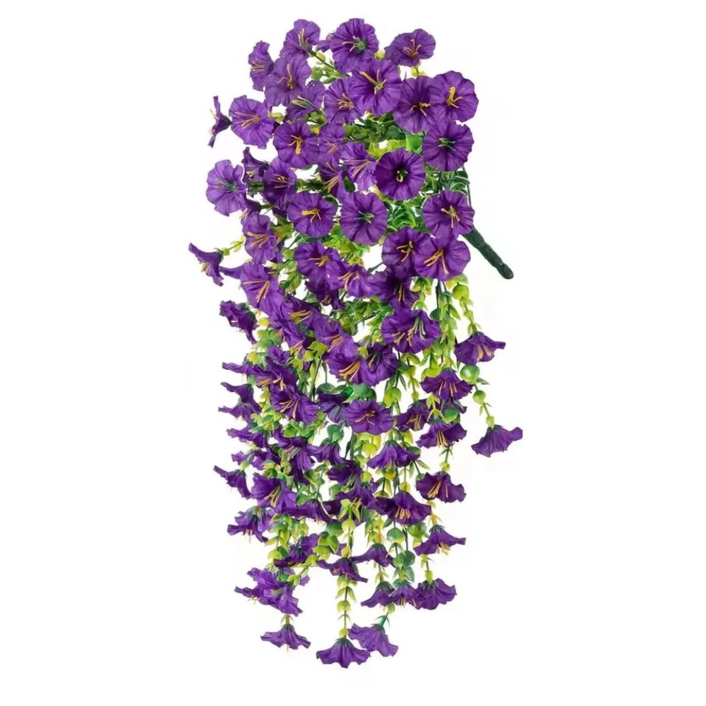 BloomEver | UV-Resistant Morning Glory Vines for Balcony & Garden