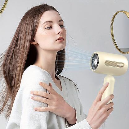 LuxeWind | Professional Ionic Hair Dryer – 1900W Fast Drying & Shine
