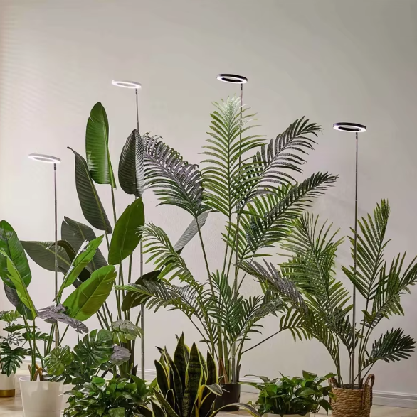 PlantLuxe | Grow Light for Houseplants