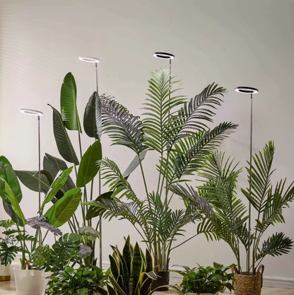 PlantLuxe | Grow Light for Houseplants