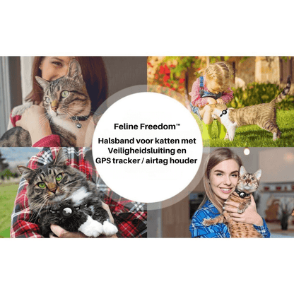 TrackTail | Cat collar with GPS tracker mount & safety clasp