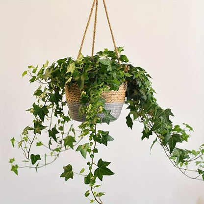 SwingScape | Minimalist and Elegant Woven Plant Holder