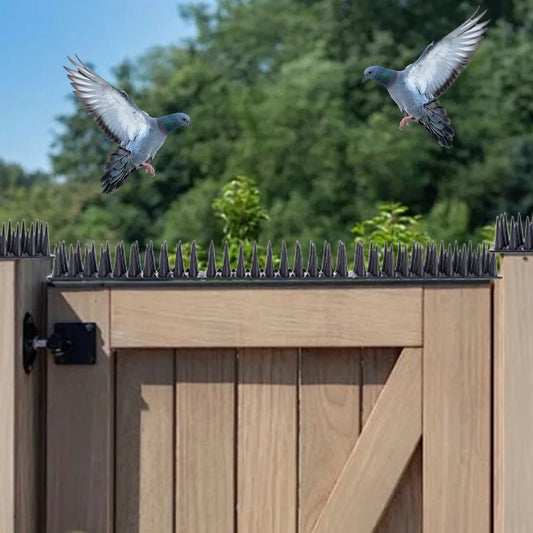 BirdBlock | Plastic Bird Deterrent Spikes